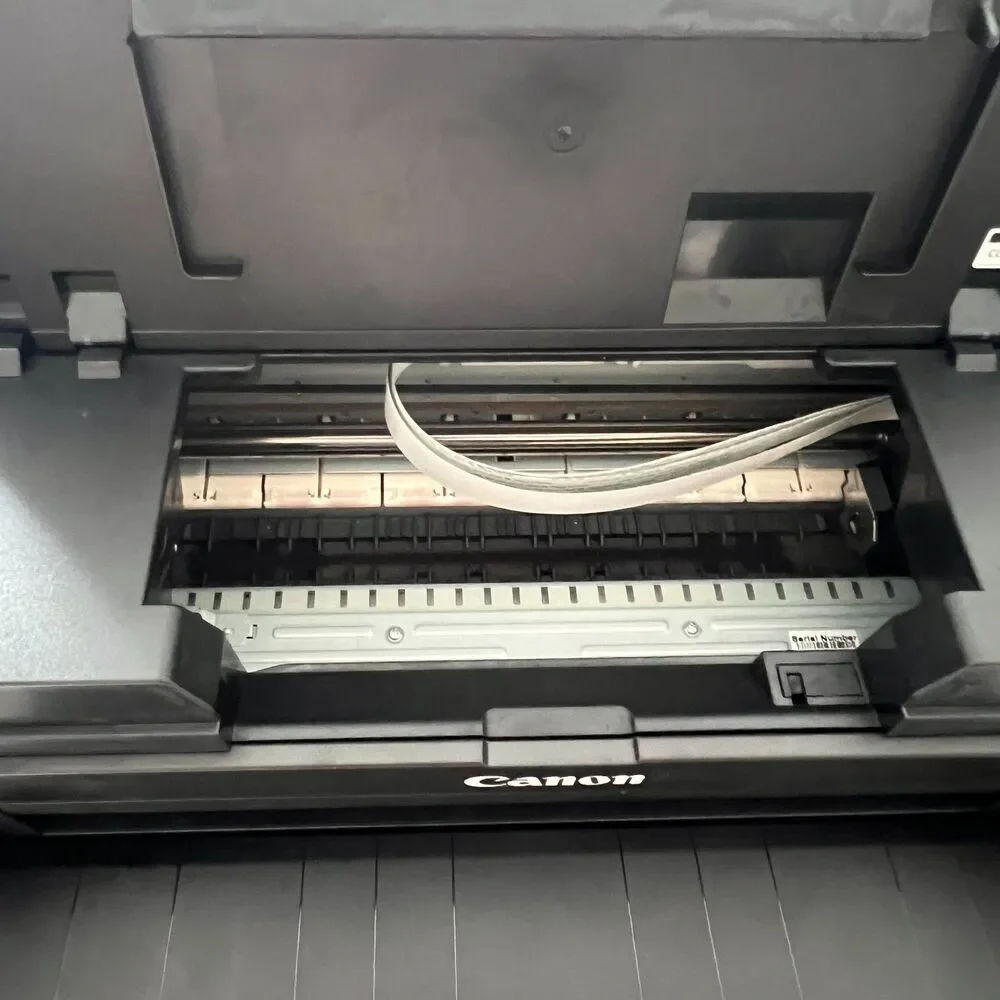 Canon PIXMA PRO-100 Inkjet Color Digital Photo Printer Tested With Ink Levels